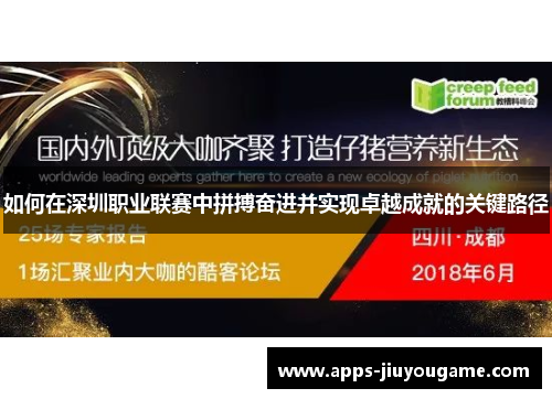 如何在深圳职业联赛中拼搏奋进并实现卓越成就的关键路径 如何在深圳职业联赛中拼搏奋进并实现卓越成就的关键路径