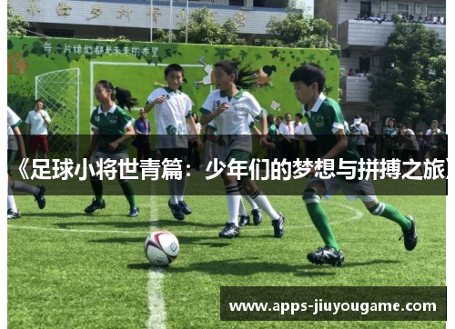 《足球小将世青篇：少年们的梦想与拼搏之旅》