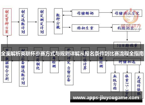 全面解析英联杯参赛方式与规则详解从报名条件到比赛流程全指南 全面解析英联杯参赛方式与规则详解从报名条件到比赛流程全指南