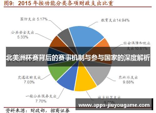北美洲杯赛背后的赛事机制与参与国家的深度解析