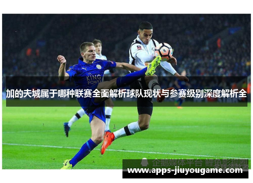 加的夫城属于哪种联赛全面解析球队现状与参赛级别深度解析全