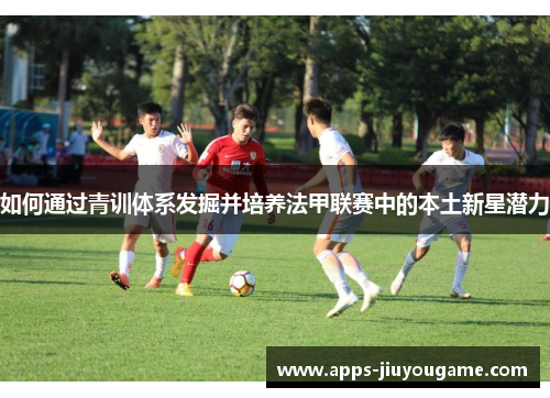 如何通过青训体系发掘并培养法甲联赛中的本土新星潜力